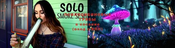 гашик Алзамай