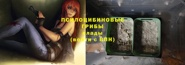 гашик Алзамай